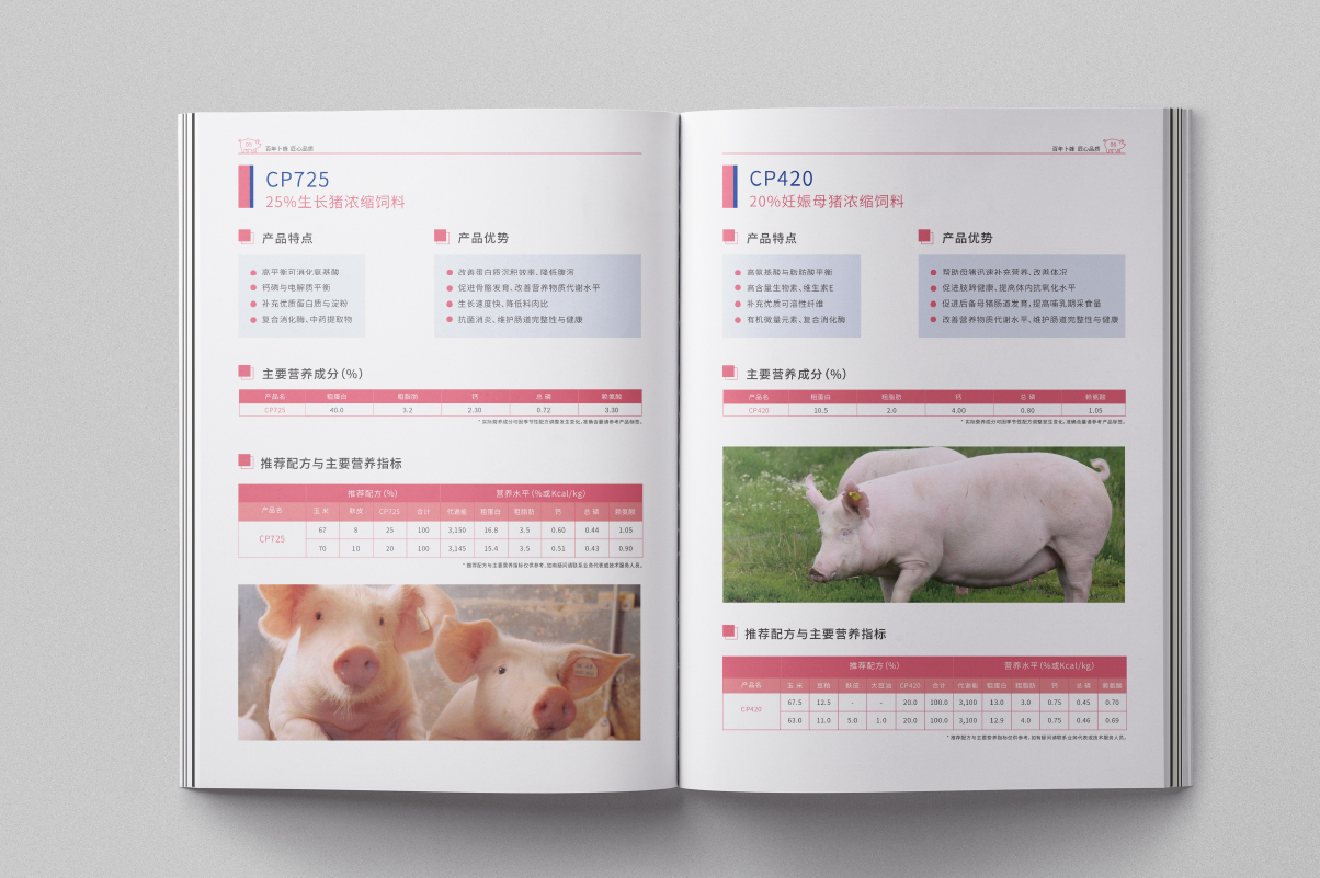 卜蜂集团猪饲料画册设计|猪饲料宣传册|苏州画册设计公司